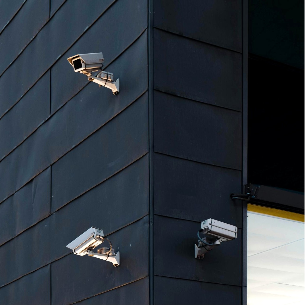 Manutenção WordPress - painel de controlo