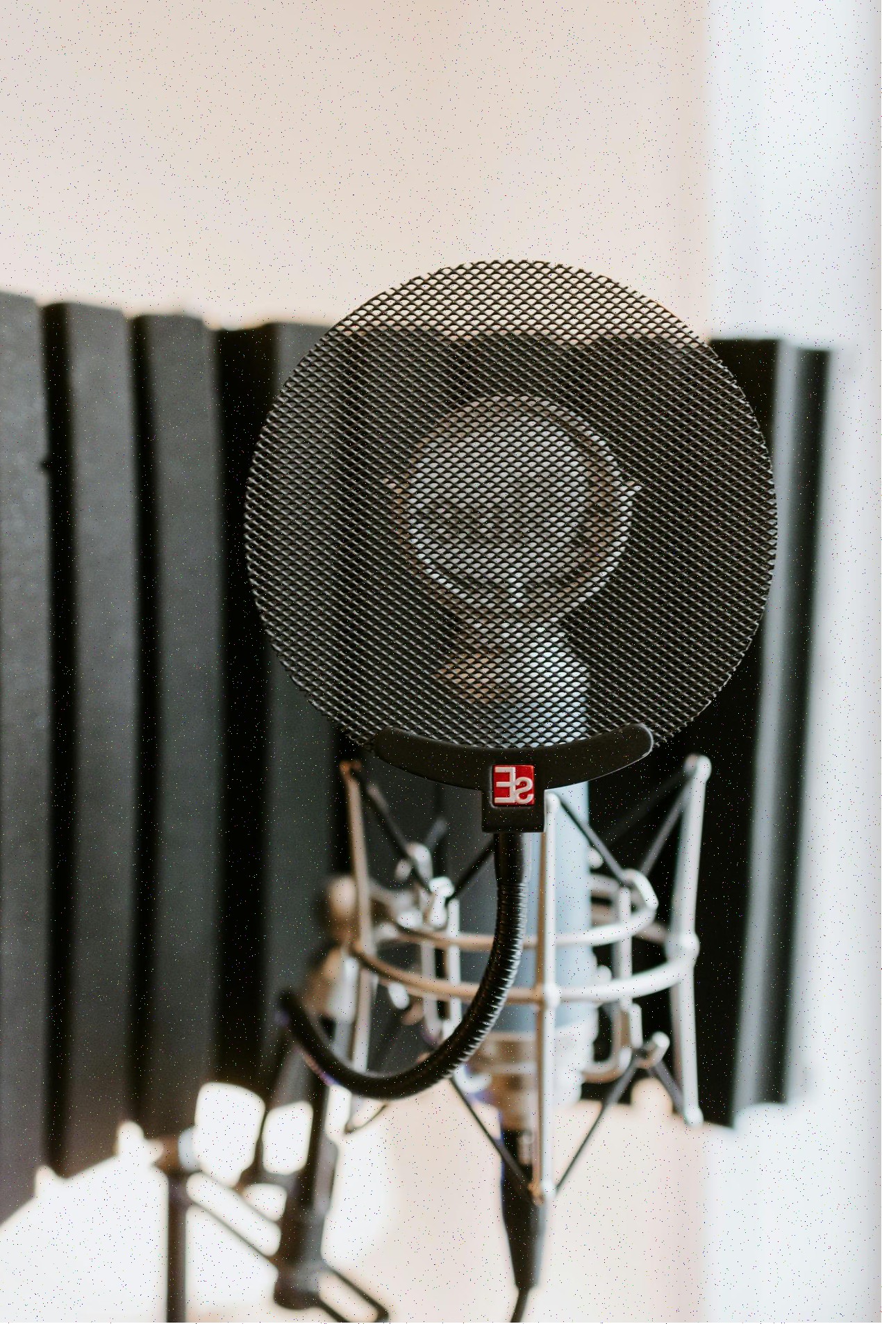 Projeto C - branding completo